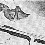 potti-sreeramulu-54thday-13-12-1952-Andhra-Patrika potti-sreeramulu-54thday-13-12-1952-Andhra-Patrika
